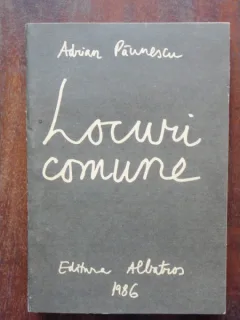 LOCURI COMUNE - ADRIAN PAUNESCU