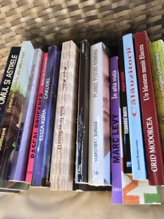 LOT 18 CĂRȚI – Romane, literatură contemporană românească & străină