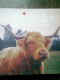 LUBITEL+LOVE FROM WAIST LEVEL  (CARTE IN LIMBA ENGLEZA, DESPRE FOTOGRAFIE)