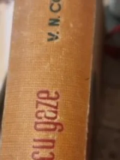 Lubrificatia cu gaze - V.N. Constantinescu
