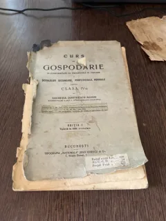Lucretia Dimitrescu Aldem Curs de gospodarie clasa a IV-a (editia I-a)