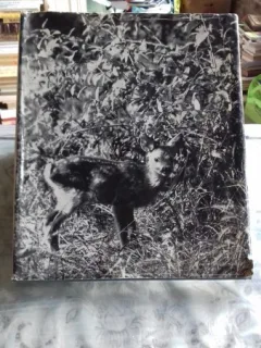 LUMEA ANIMALELOR - ION MICLEA