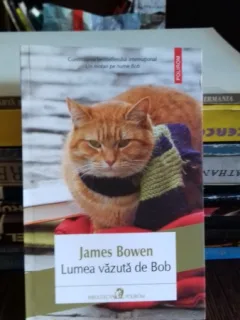 LUMEA VAZUTA DE BOB - JAMES BOWEN