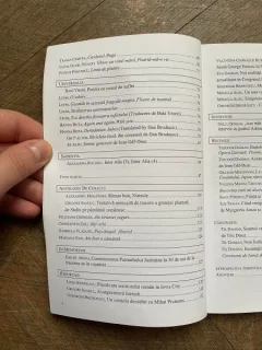 Lumina Lina An XII/Nr. 3 2007