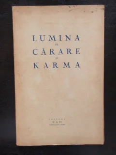 LUMINA PE CARARE SI KARMA