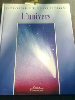 L,UNIVERS - ENRICO MIOTTO  (ALBUM UNIVERS, TEXT IN LIMBA FRANCEZA)