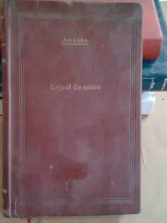 LUPUL DE MARE - JACK LONDON