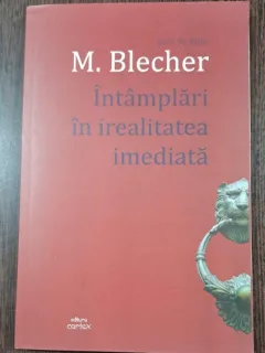 M. Blecher - Intamplari in irealitatea imediata