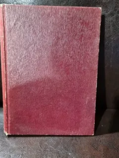 M. EMINESCU - SCRIERI POLITICE