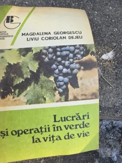 Magdalena Georgescu - Lucrari si operatii in verde la vita de vie