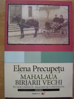 MAHALAUA BIRJARII VECHI - ELENA PRECUPETU  (IN DOCUMENTE, IMAGINI SI CONFESIUNI)