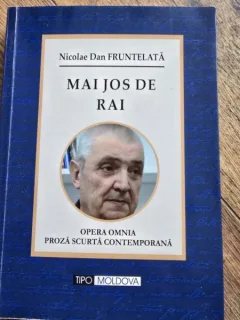 Mai jos de Rai - Nicolae Dan Fruntelata