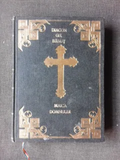 MAICA DOMNULUI, OCROTITOAREA ROMANIEI - GHEORGHE BABUT