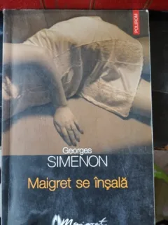 Maigret se Insala - Georges Simenon