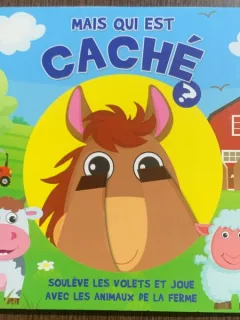 Mais qui est cache? (Dar cine se ascunde? - carte in limba franceza)