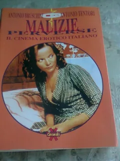 MALIZIE PERVERSE, IL CINEMA EROTICO ITALIANO - ANTONIO BRUSCHINI  (CARTE IN LIMBA ITALIANA)