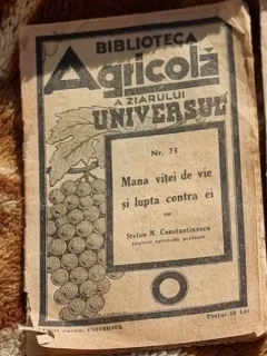 Mana vitei de viesi lupta contra ei - Stefan N. Constantinescu