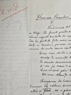 Manuscris Simion Gocan
