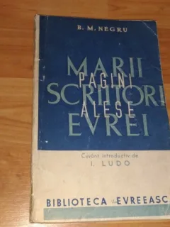 MARI SCRIITORI EVREI-PAGINI ALESE-B. M. NEGRU