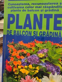 Maria Teresa Della Beffa - Plante de balcon si gradina