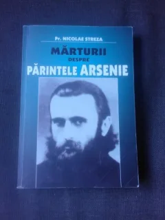 MARTURII DESPRE PARINTELE ARSENIE BOCA - NICOLAE STREZA