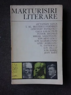 MARTURISIRI LITERARE