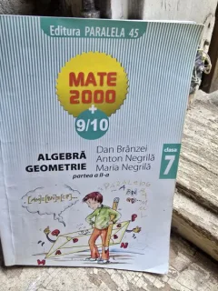 MATE TEME 2000 +8/9 CLASA 7 PARTEA I - DAN BRANZEI