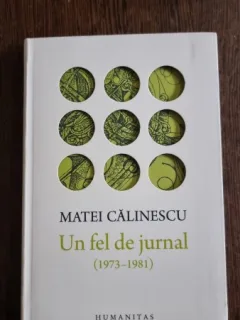Matei Calinescu - Un fel de jurnal 1973-1981