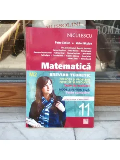 Matematica clasa a XI-a breviar teoretic - exercitii si probleme propuse si rezolvate , Petre Simion