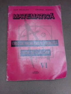 Matematica, ghid de probleme si exercitii, teste de evaluare clasa a VI-a - Ioan Pelteacu