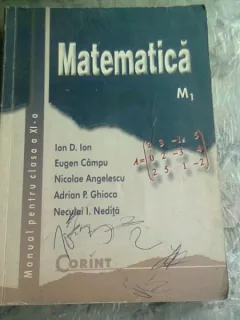 MATEMATICA M1, MANUAL PENTRU CLASA A XI-A - ION D. ION