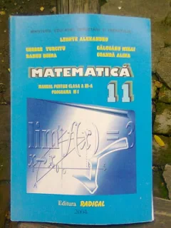 Matematica, Manual pentru clasa a XI-a M1, Leonte Alexandru