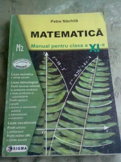 Matematica Manual pentru clasa a XI-a -  Petre Nachila