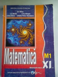 MATEMATICA. MANUAL PENTRU CLASA XI-A M1 - ION MIHAI