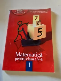 MATEMATICA PENTRU CLASA A V-A - CATALIN STANICA  VOL.I