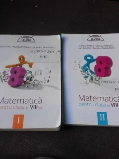 Matematica pentru clasa a VIII-a - Mircea Fianu  2 volume