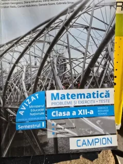 Matematica. Probleme si exercitii. Teste. Clasa a XII-a - Marius Burtea, Georgeta Burtea
