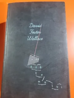Matura sistemului - David Foster Wallace