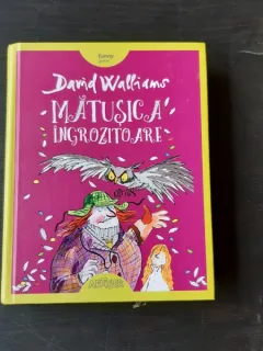 MATUSICA INGROZITOARE - DAVID WALLIAMS