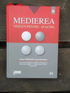 MEDIEREA. OXIGEN PENTRU AFACERI - ALINA GORGHIU
