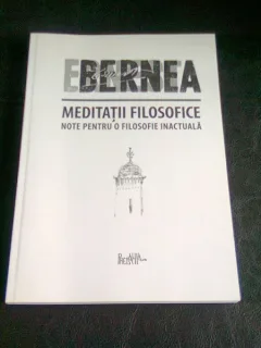 MEDITATII FILOSOFICE - BERNEA