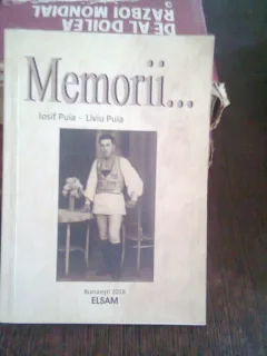 MEMORII - IOSIF PUIA, LIVIU PUIA