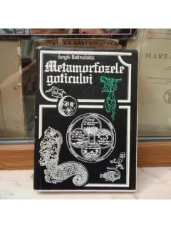 Metamorfozele goticului - Jurgis Baltrusaitis
