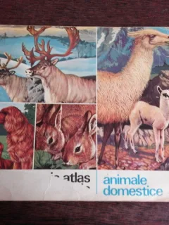 MIC ATLAS ZOOLOGIC, ANIMALE DOMESTICE - N. SAFTOIU