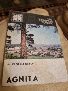 MIC INDREPTAR TURISTIC AGNITA - FLORINA GRECU