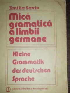 MICA GRAMATICA A LIMBII GERMANE - EMILIA SAVIN