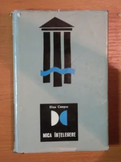 MICA INTELEGERE - ELIZA CAMPUS