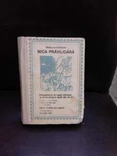 MICA PRAVILOARA