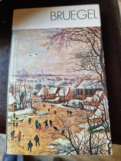 Michal Walicki - Bruegel. Album