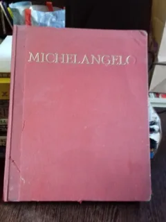 MICHELANGELO - ENZO CARLI